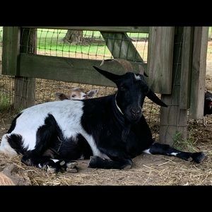 Meet your Posher, Jodi